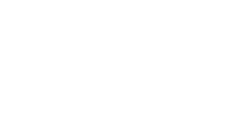 Bim